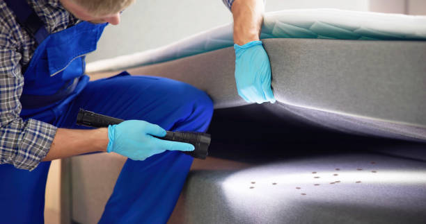 Best Affordable Pest Control Services  in Ke Charles, LA